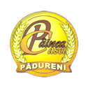 Paineacasei.ro Logo